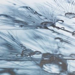 WENKO Siège WC Sereno - Duroplast / Acier inoxydable - Multicolore -Accessoires de salle de bain Soldes 1000243054 210129 09323100329 DETAILS P000000001000243054